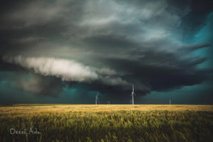 Dezsö Adai - How Dangerous Beauty Can Be