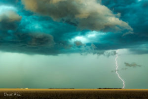 Dezsö Adai - Severe Warned