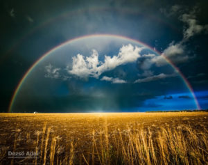 Dezsö Adai - Untitled Rainbow